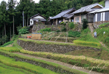 山里の棚田